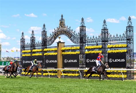 melbourne cup odds comparison|Melbourne Cup Betting 2023 Odds & Tips .